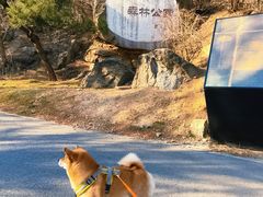 -白水寺森林公园