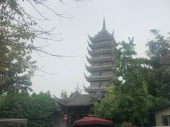 -生宇山珍野生菌汤锅•始于1999(双流古塔店)