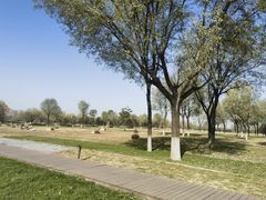 -汉长安城未央宫国家考古遗址公园