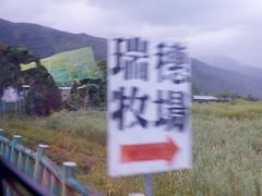 -瑞穗牧场