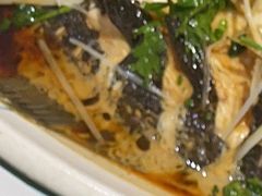 -和源祥·日照菜扛把子(万平口一店)