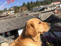 -浔岚云舍mist静谧观景美宿(丽江古城店)