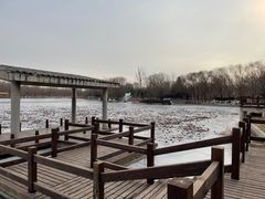-廊坊市自然公园
