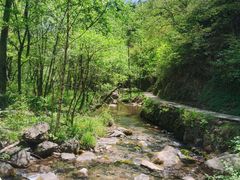 -玉渡山自然风景区