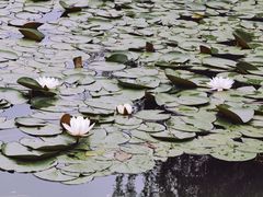 -石湖景区