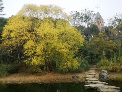 -贡湖湾湿地公园