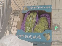 -盒马X会员店(上海森兰商都店)