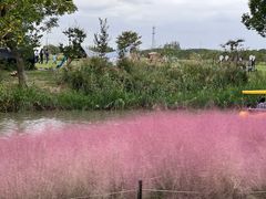 -嘉北郊野公园