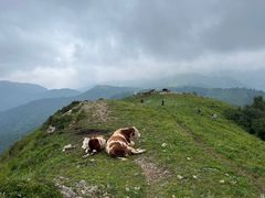 -灵山