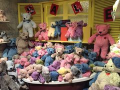 -济州岛泰迪熊博物馆