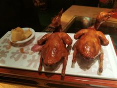 红烧乳鸽-大鸽饭(北京路店)