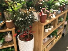 -Olé精品超市(南宁万象城店)