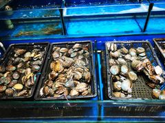 -岳各庄批发市场(西四环中路店)