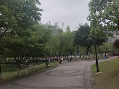-沐仙湖湿地公园