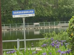 -莲湖公园