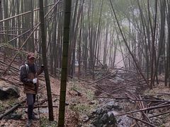 -宁波五龙潭景区