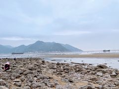 -北岐滩涂