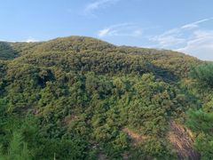 -广州白江湖森林公园