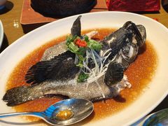 -大连君悦酒店·星海湾壹号Dalian·Dalian(星海广场店)