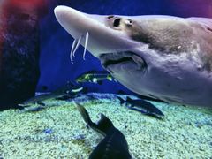 -多彩贵州城极地海洋世界