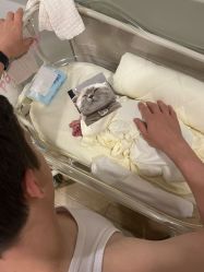 -北京新世纪妇幼医院·产检·分娩·计生(望京院区)