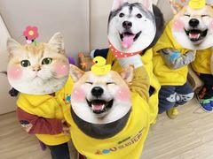 -豆初托育园 Baby Bean Day care Center