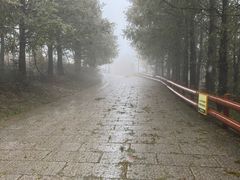 -东白山