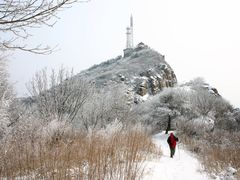 -鲁山国家森林公园