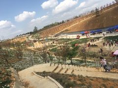 -绵阳盛世樱花悠乐谷