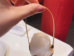 -金鼎轩(亚运村店)