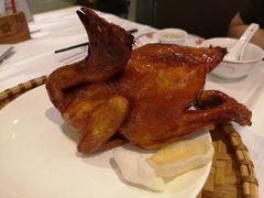 手撕童子烧土鸡-稻香酒家·35年老字号(侨光店)