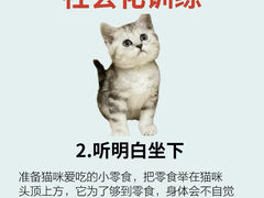 -lincat·猫舍(广州店)