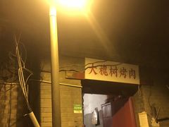 -大槐树烤肉馆
