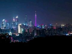 -广州都市观光巴士(粤陶巴)