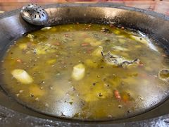 -鲜椒鱼·雅安地标性美食