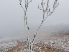 -阳台山自然风景区