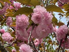 -苏州独墅湖世尊酒店