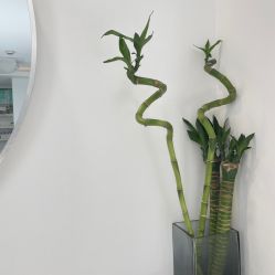 -妙睫屋日式美甲美睫