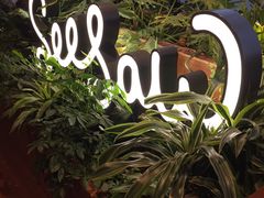 -Seesaw Coffee(朝阳大悦城店)