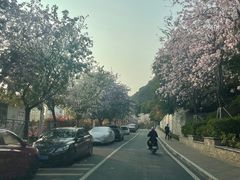 -小南山公园