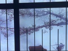 -星漾里•SPA•足道•按摩•养生(吕厝店)