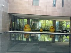 -西溪天堂·悦居