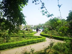 -南山植物园