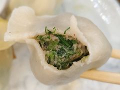 茴香鲜肉饺-北方饺子王·海肠捞饭·海鲜锅(山大店)