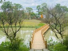 -桤木河湿地公园