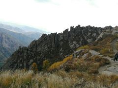 -芦芽山旅游度假区