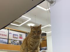 -玉华饮食店(茅台路店)