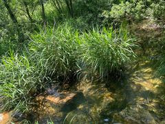 -大连冰峪旅游度假区