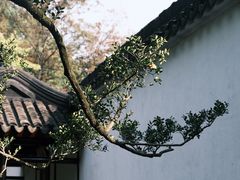 -拙政园