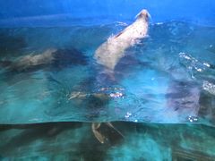 -青岛海底世界-水族馆